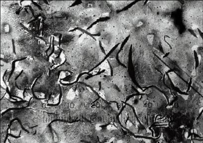 「ねずみ鋳鉄の片状黒鉛鋳鉄」の写真